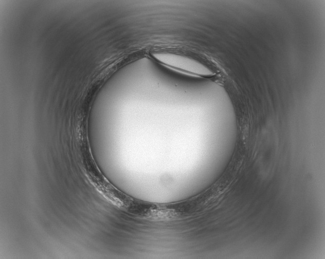 X0000078890455200612111809