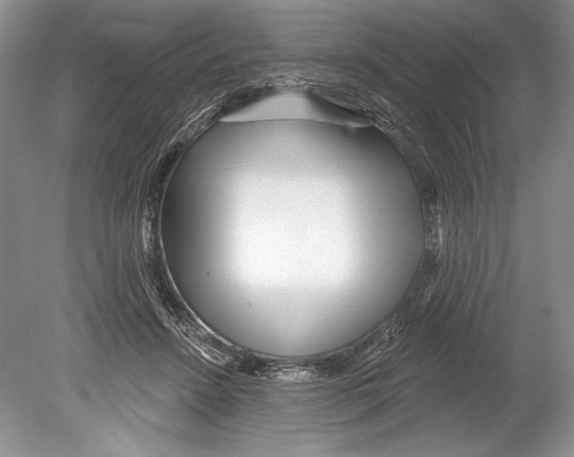 X0000078890456200612111809