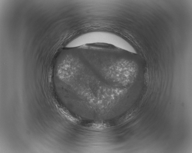 X0000078890458200612111810