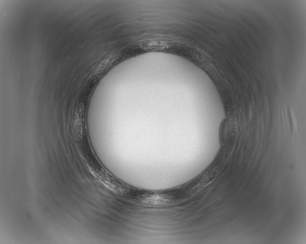 X0000078890460200612111810