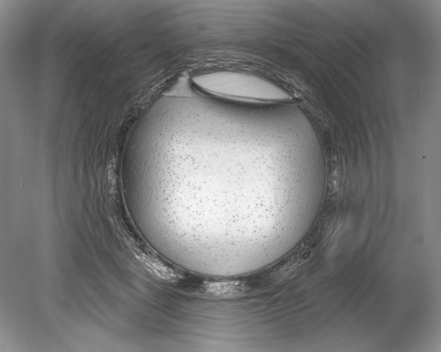 X0000078890461200612111810