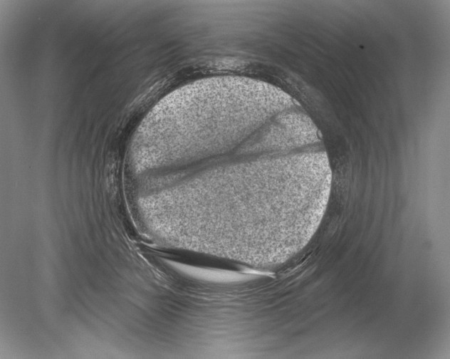 X0000078890462200612111810