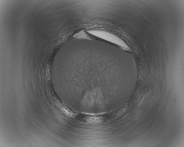 X0000078890465200612111810