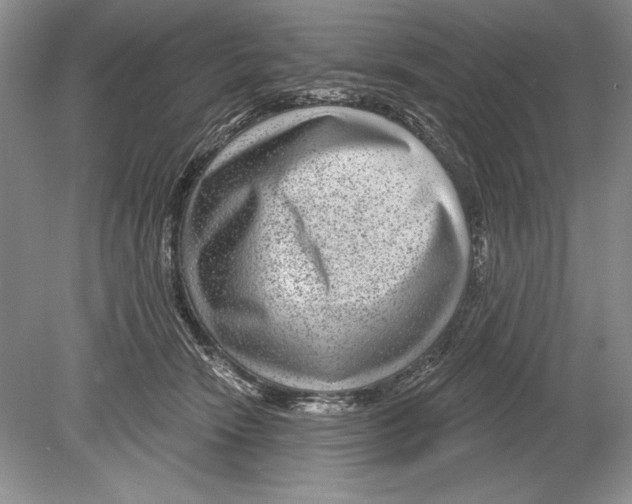 X0000078890466200612111810