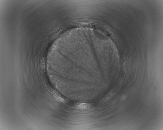 X0000078890467200612111810