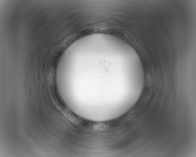 X0000078890468200612111810