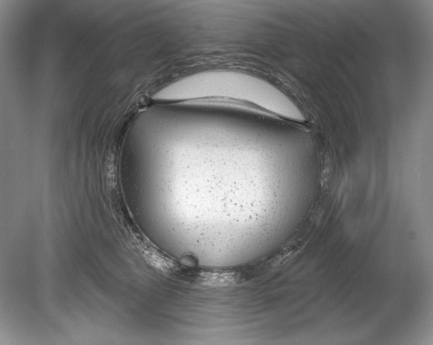 X0000078890469200612111810