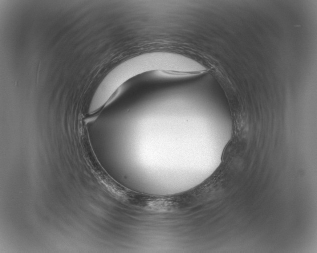 X0000078890470200612111810