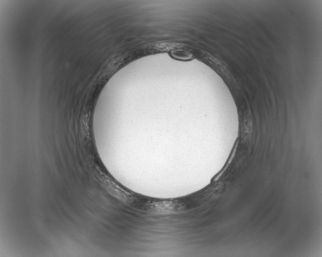 X0000078890473200612111810