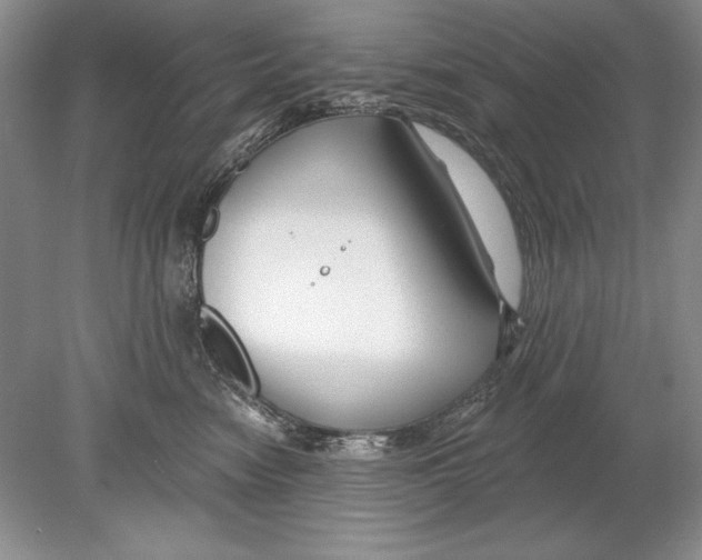 X0000078890474200612111810