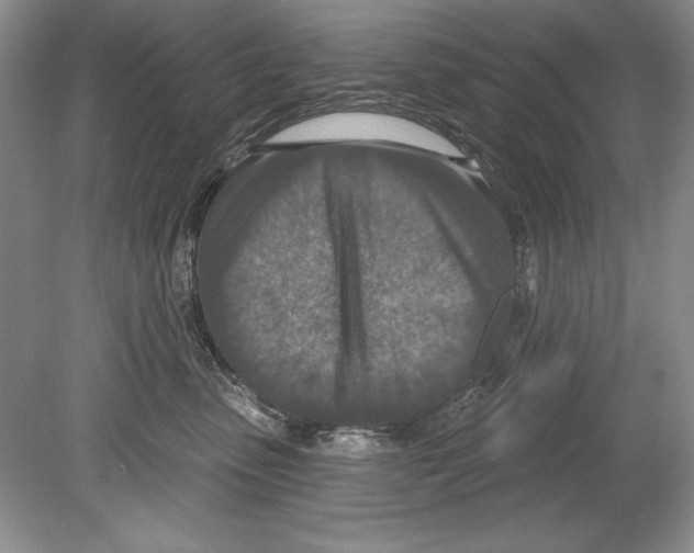 X0000078890475200612111810