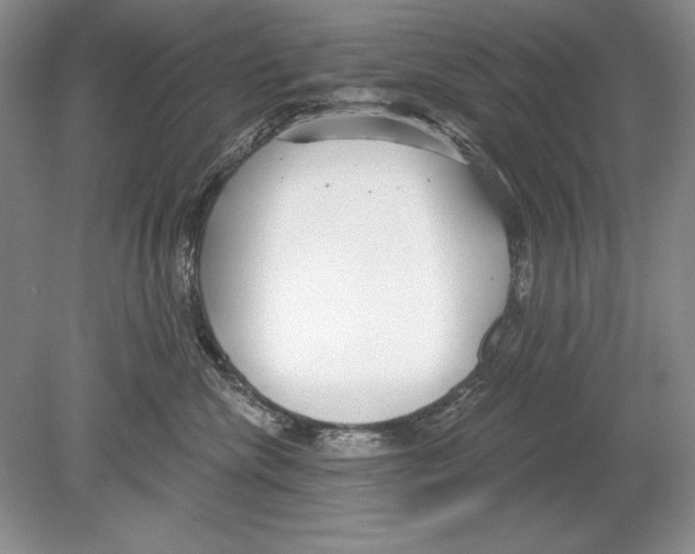 X0000078890476200612111810