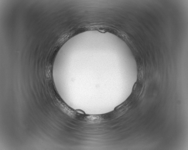 X0000078890477200612111810