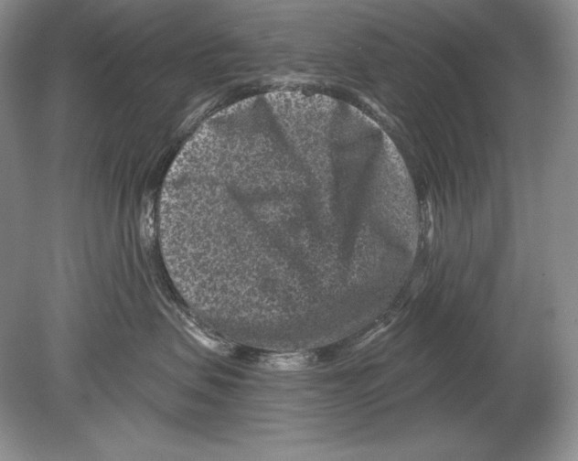 X0000078890479200612111810