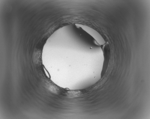 X0000078890480200612111810