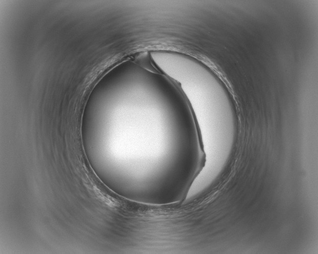 X0000078890481200612111809