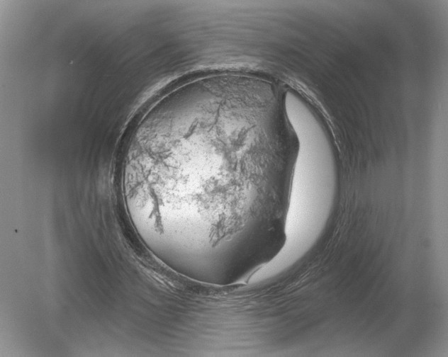 X0000078890483200612111809