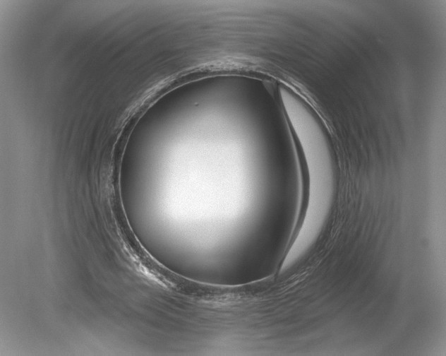 X0000078890485200612111809