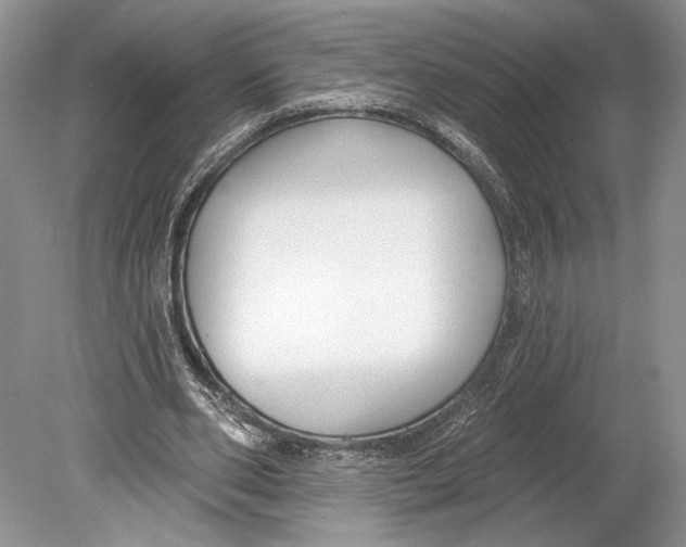 X0000078890486200612111809