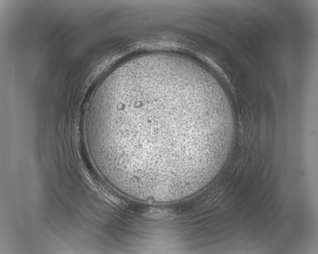 X0000078890487200612111809