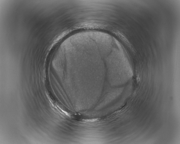 X0000078890488200612111809