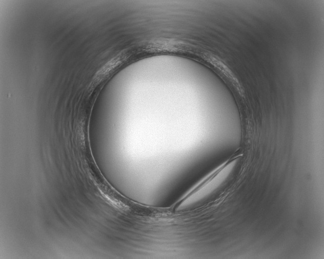 X0000078890489200612111809