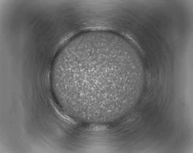 X0000078890491200612111809