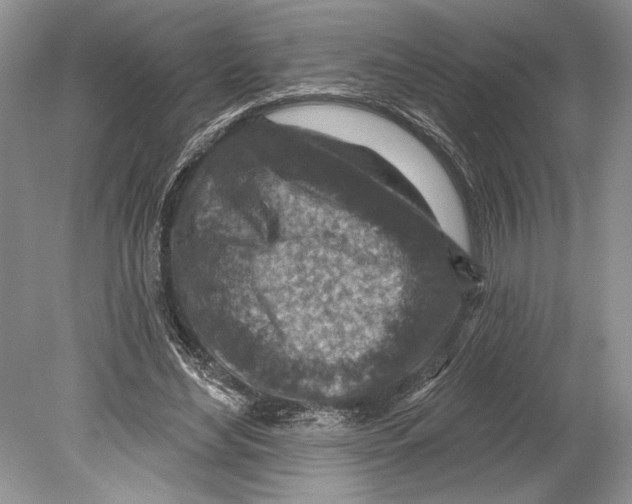 X0000078890492200612111809