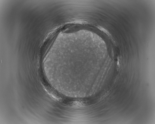 X0000078890496200612111809