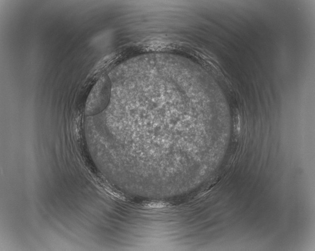 X0000078890503200612111809