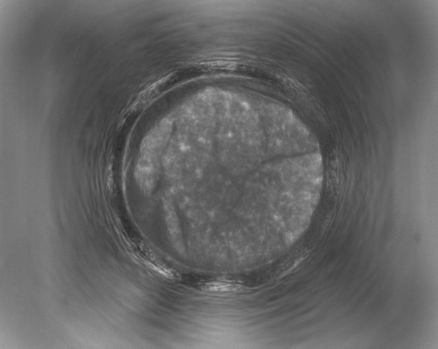 X0000078890504200612111809