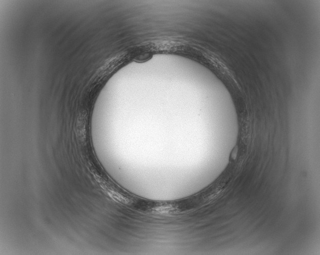 X0000078890505200612111809