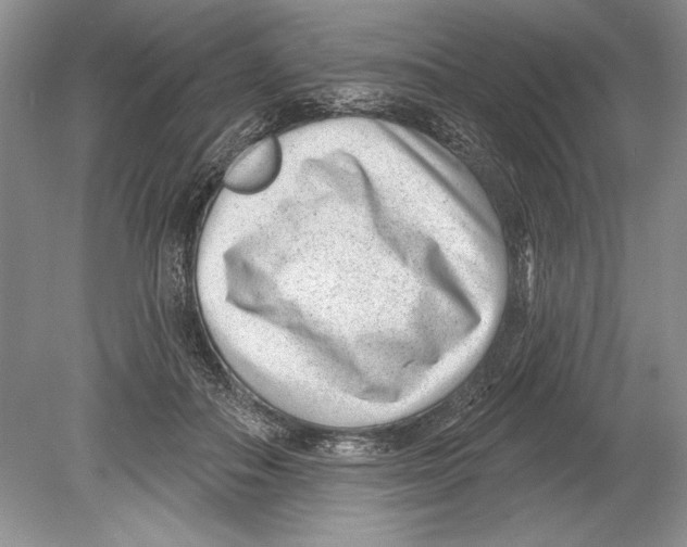 X0000078890506200612111809