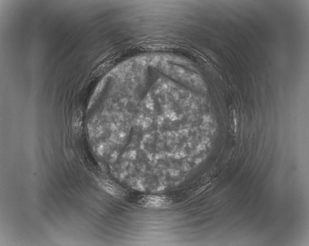 X0000078890507200612111809