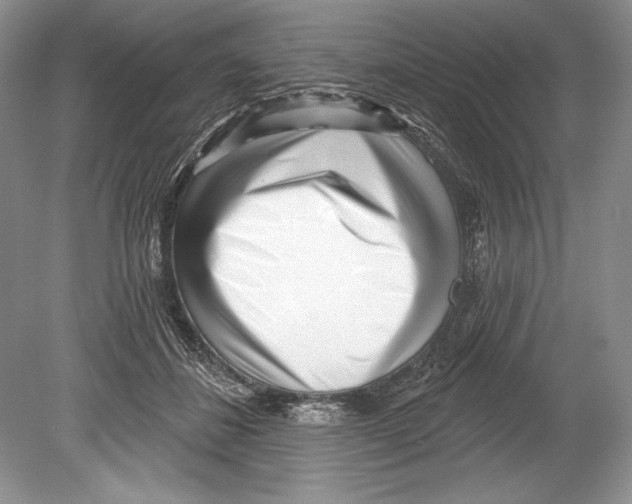 X0000078890508200612111809