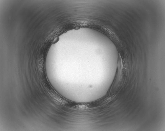 X0000078890509200612111809