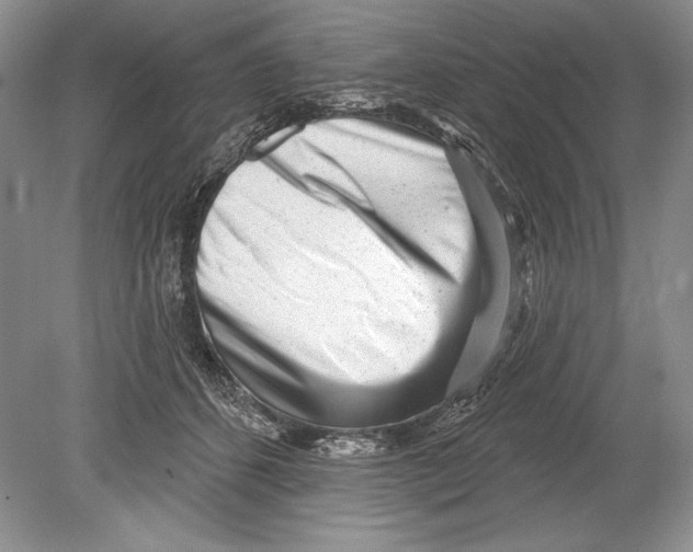 X0000078890512200612111809