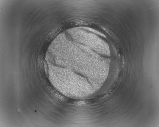 X0000078890513200612111809