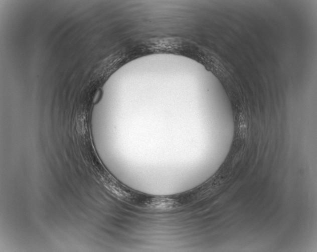 X0000078890514200612111809