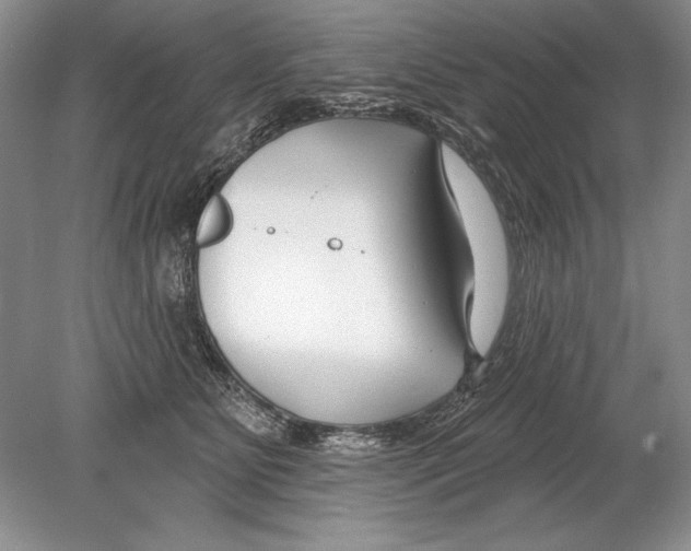 X0000078890515200612111808