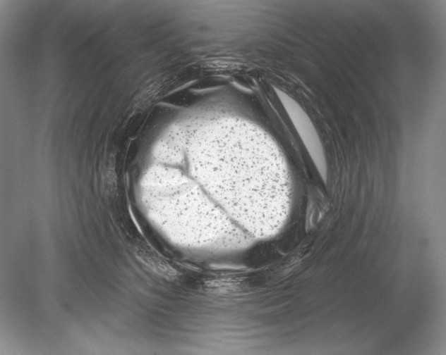 X0000078890516200612111808