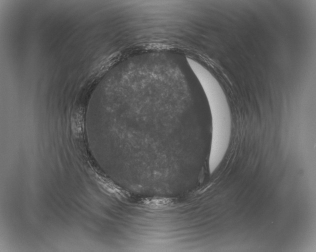 X0000078890517200612111808