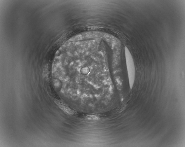 X0000078890519200612111808