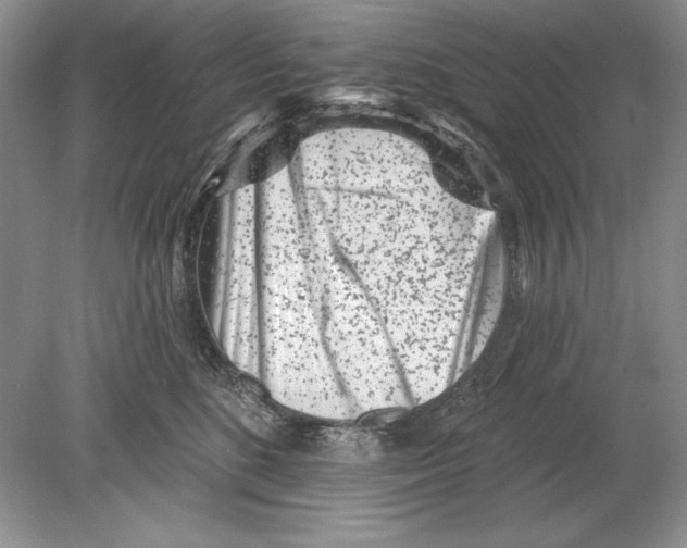 X0000078890520200612111808