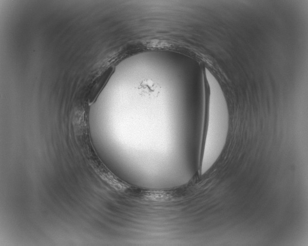 X0000078890521200612111808