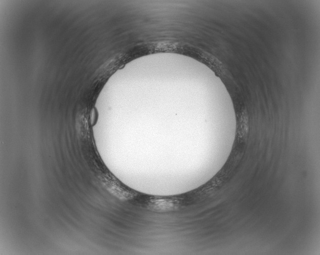 X0000078890522200612111808