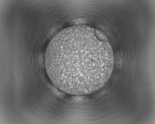 X0000078890523200612111808