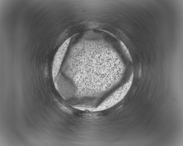 X0000078890524200612111808