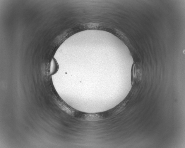 X0000078890525200612111808