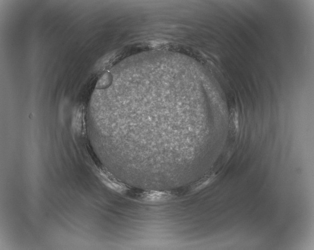 X0000078890527200612111808